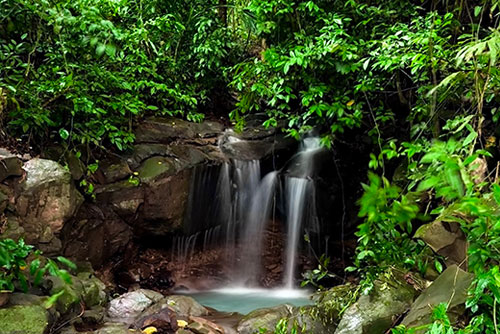 Must Visit Waterfalls in Andaman