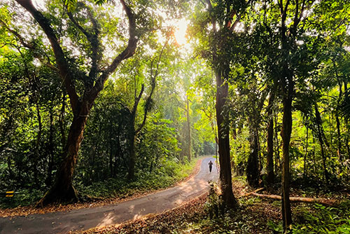 Trekking in the Andaman Islands